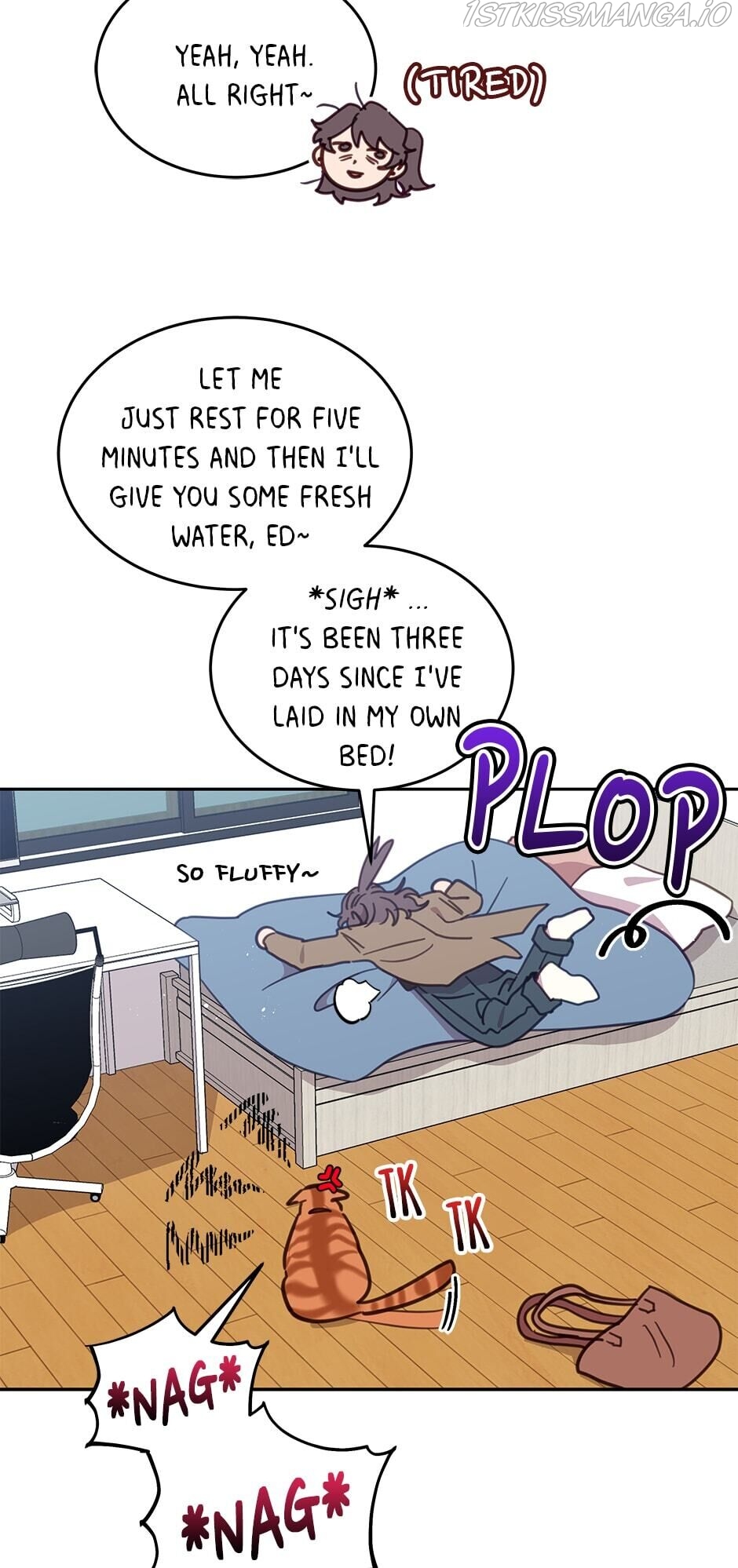 An animal hospital in the border area Chapter 28 page 6