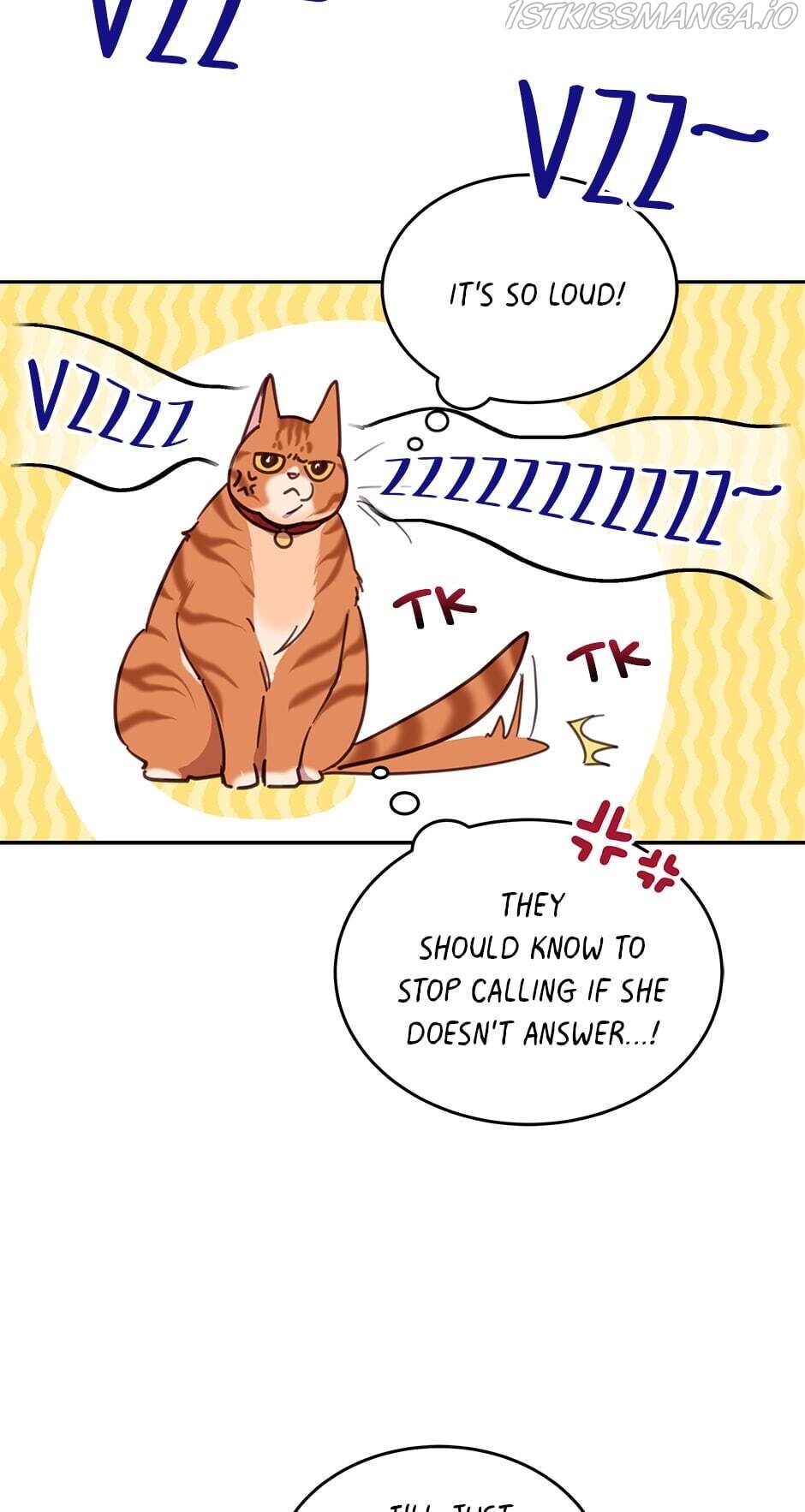 An animal hospital in the border area Chapter 28 page 11