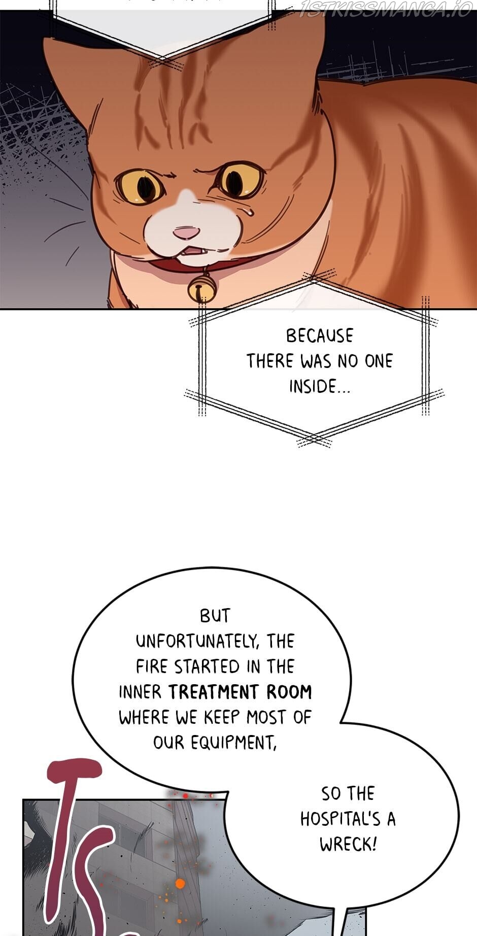 An animal hospital in the border area Chapter 28 page 16