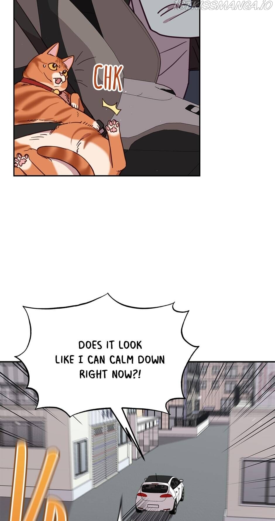 An animal hospital in the border area Chapter 28 page 24