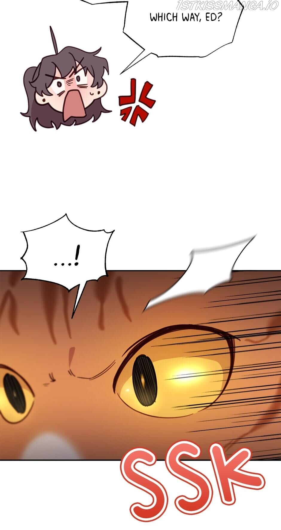 An animal hospital in the border area Chapter 28 page 43