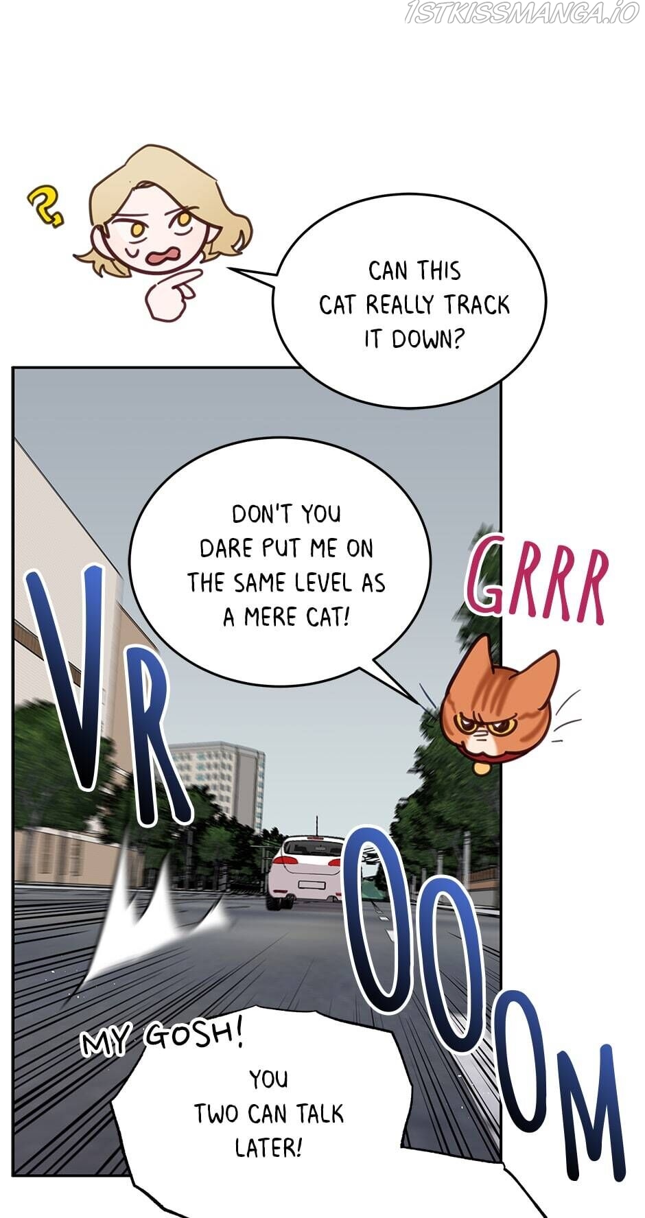 An animal hospital in the border area Chapter 28 page 42