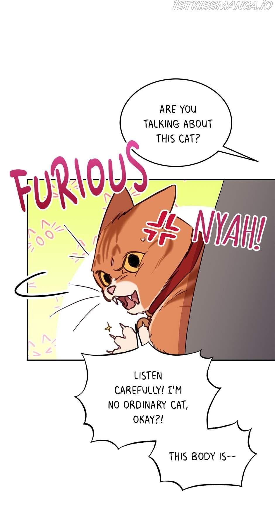 An animal hospital in the border area Chapter 28 page 41