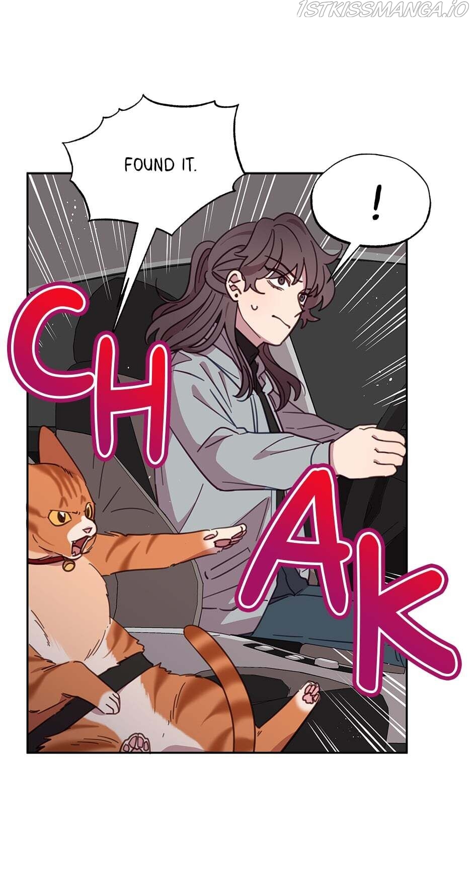 An animal hospital in the border area Chapter 28 page 44