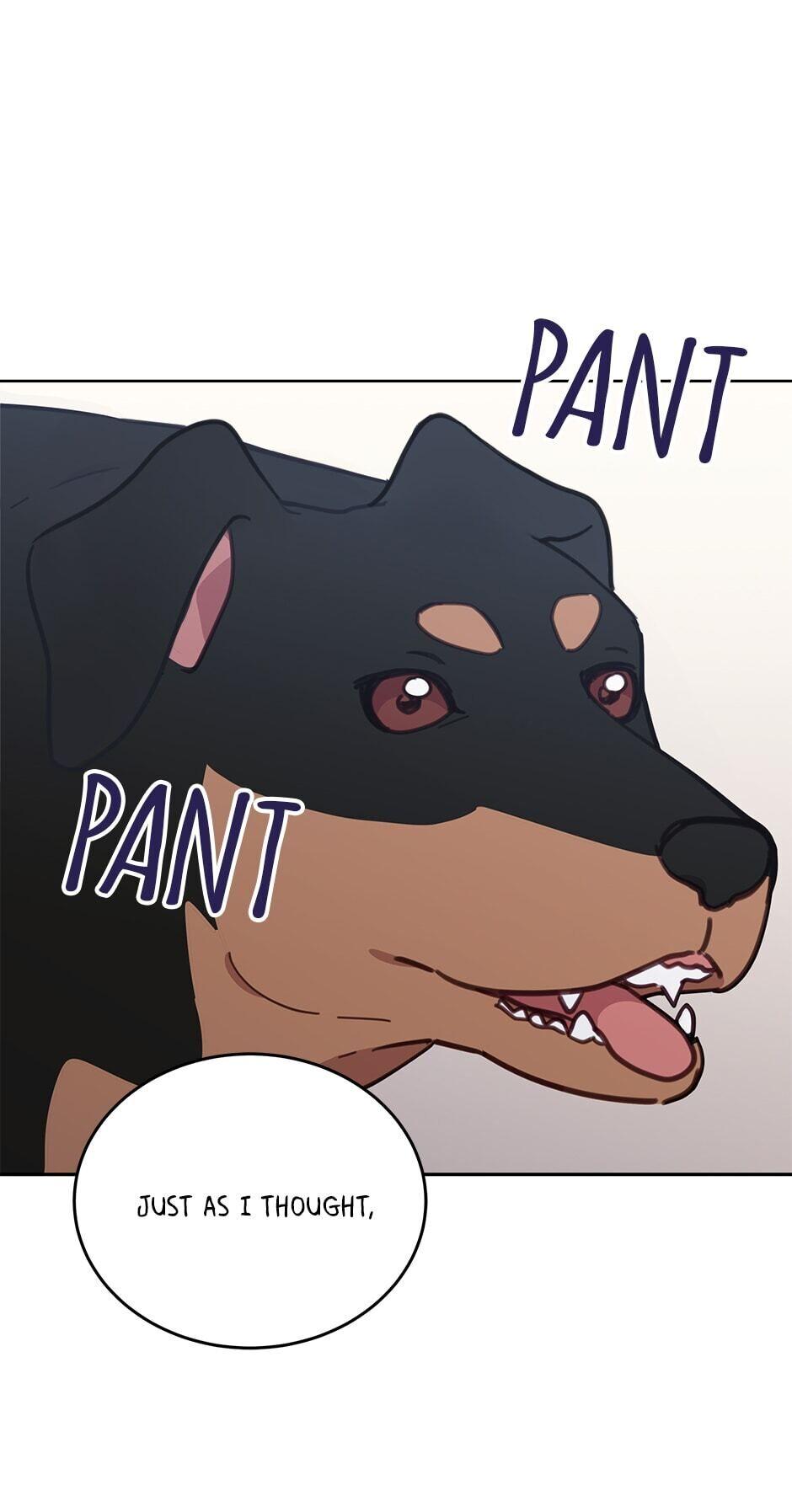 An animal hospital in the border area Chapter 33 page 2