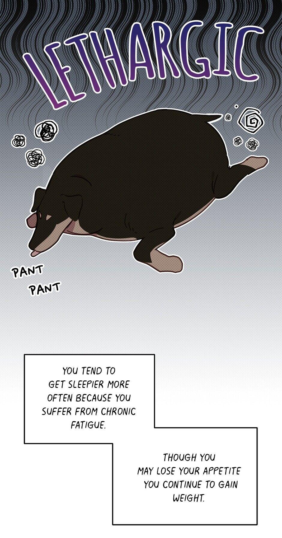 An animal hospital in the border area Chapter 33 page 8