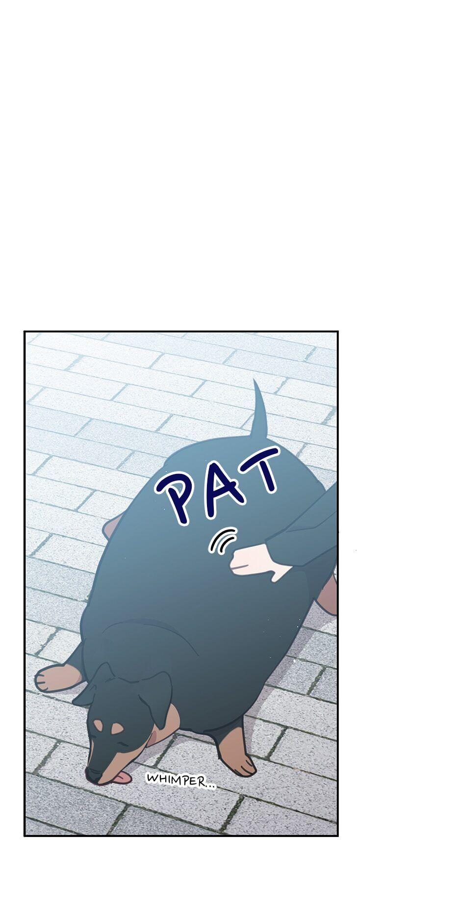 An animal hospital in the border area Chapter 32 page 16