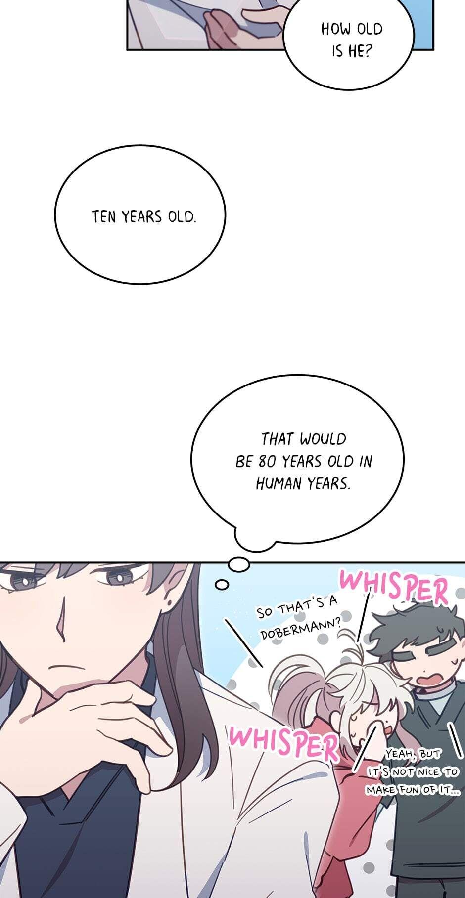 An animal hospital in the border area Chapter 32 page 26