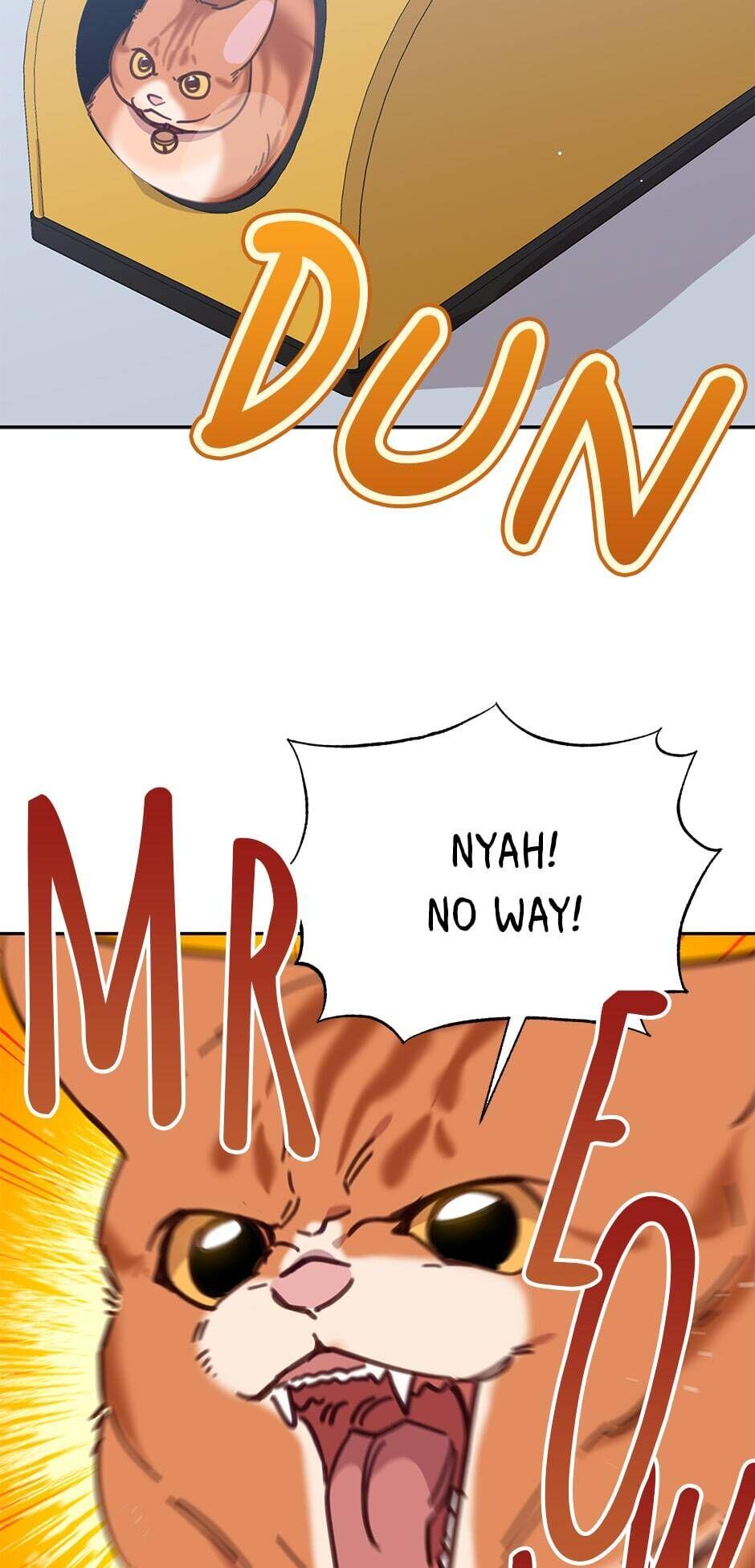 An animal hospital in the border area Chapter 33 page 19