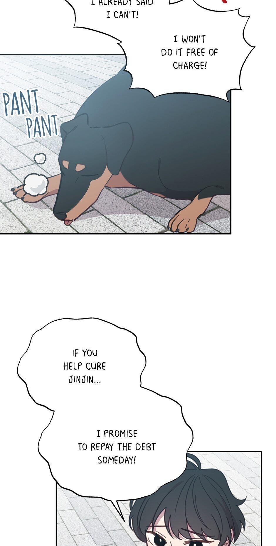 An animal hospital in the border area Chapter 32 page 40