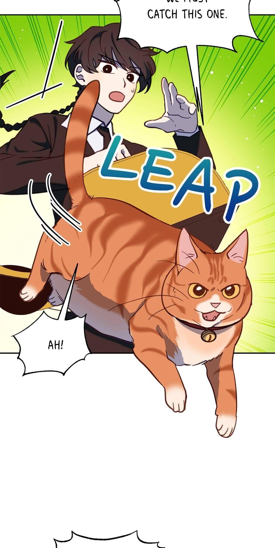 An animal hospital in the border area Chapter 33 page 33