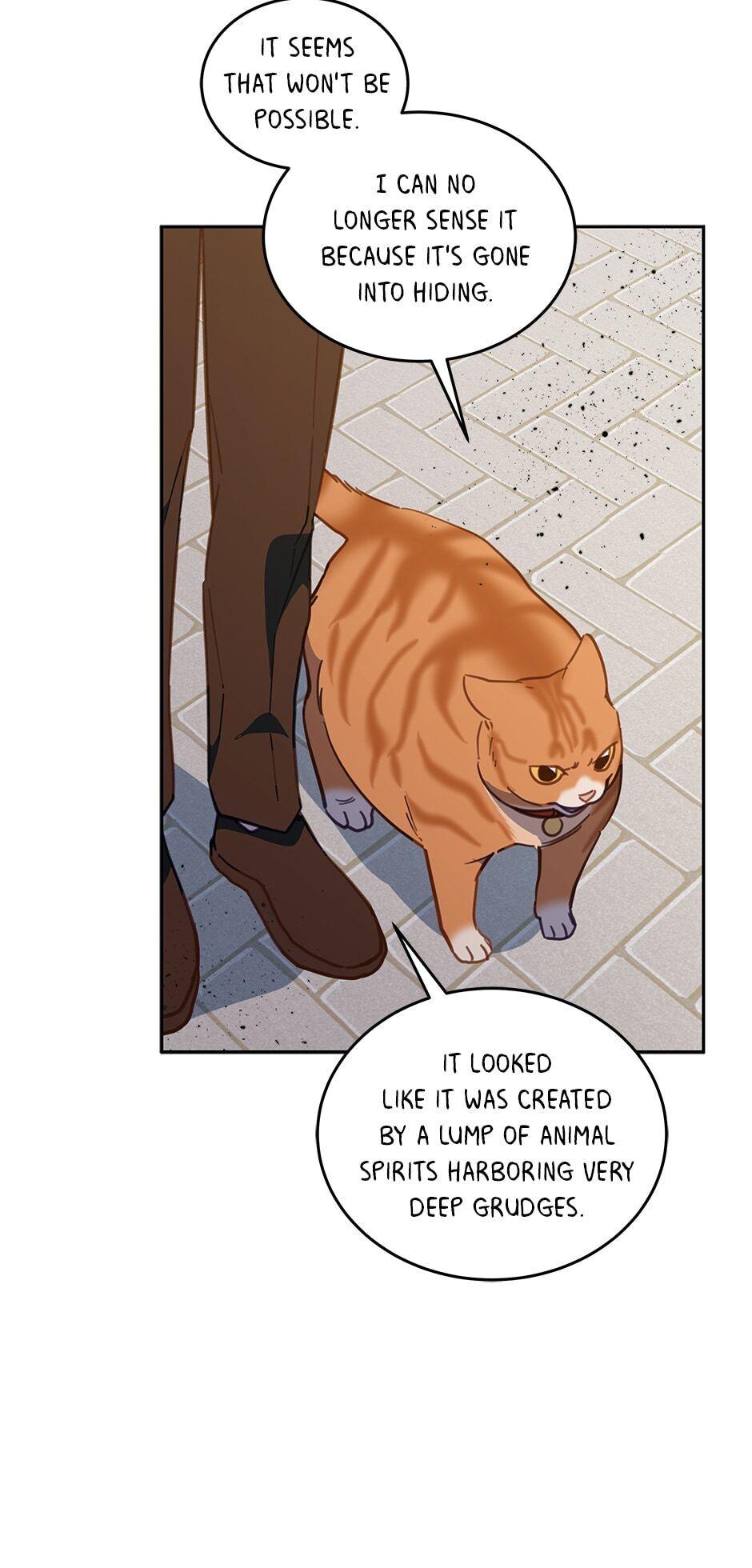 An animal hospital in the border area Chapter 33 page 48
