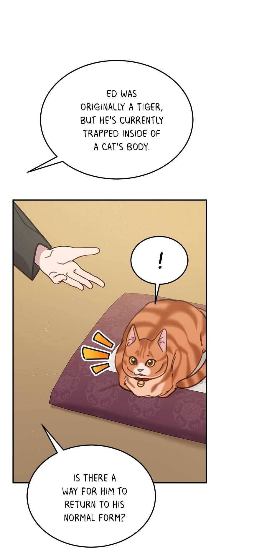 An animal hospital in the border area Chapter 39 page 53