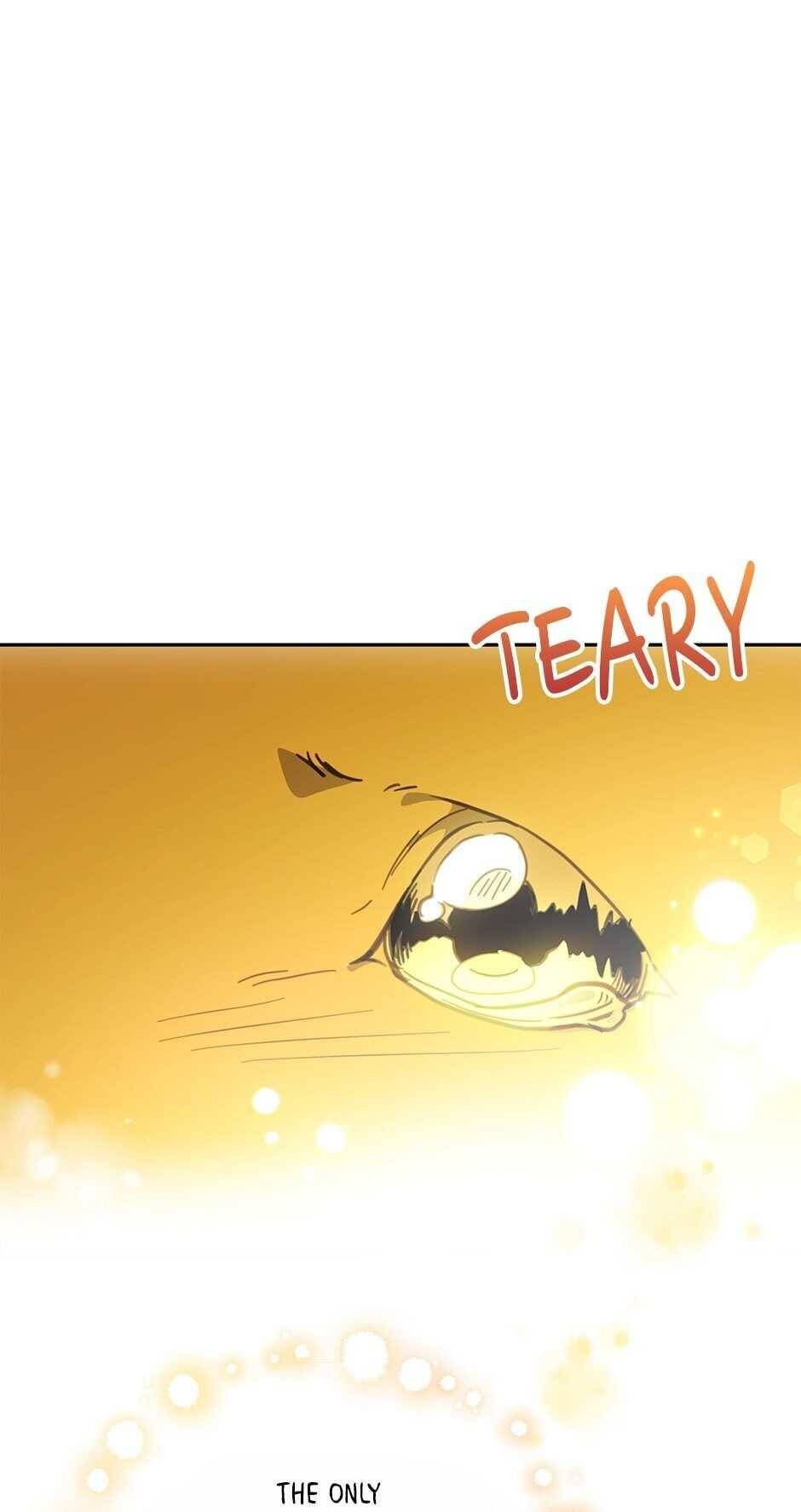 An animal hospital in the border area Chapter 42 page 53