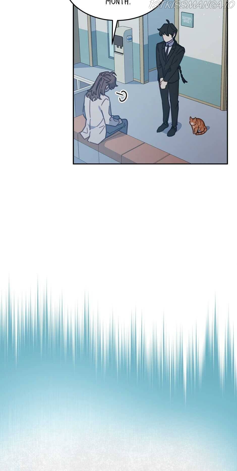 An animal hospital in the border area Chapter 37 page 13