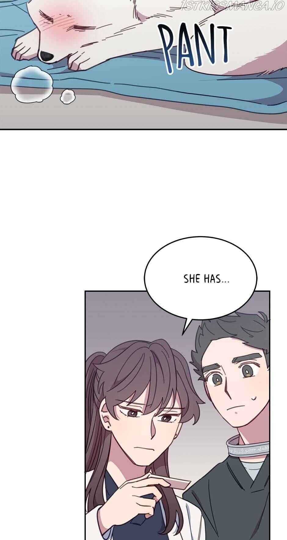 An animal hospital in the border area Chapter 25 page 3