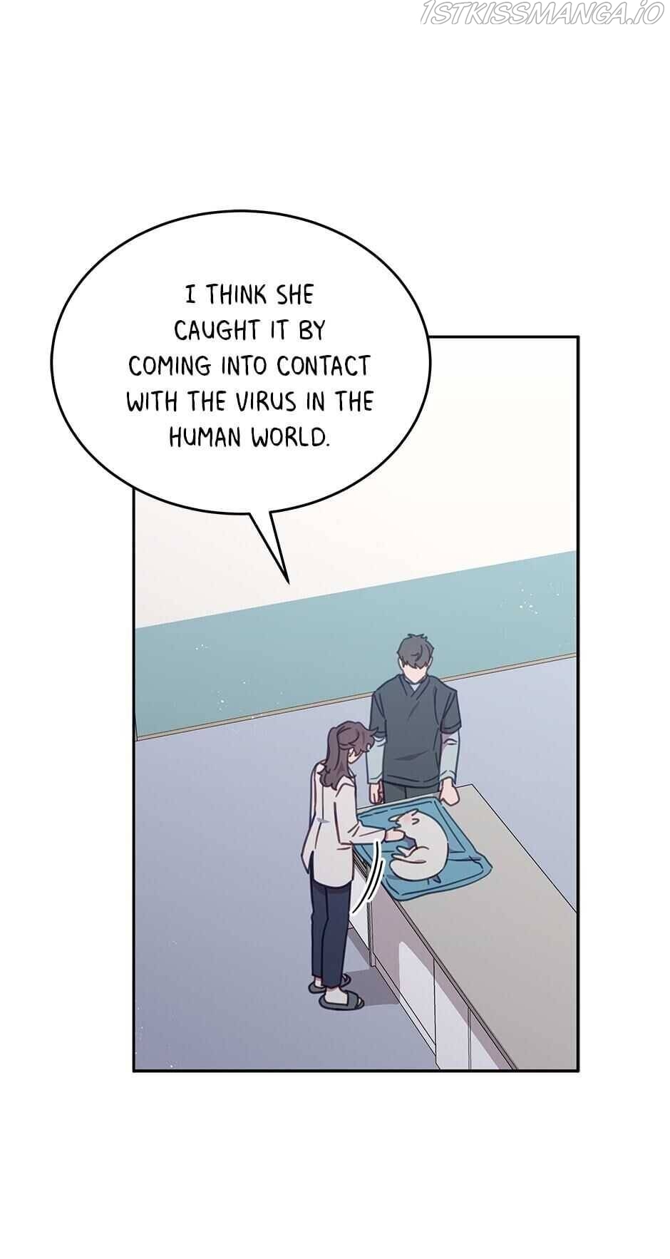 An animal hospital in the border area Chapter 25 page 5