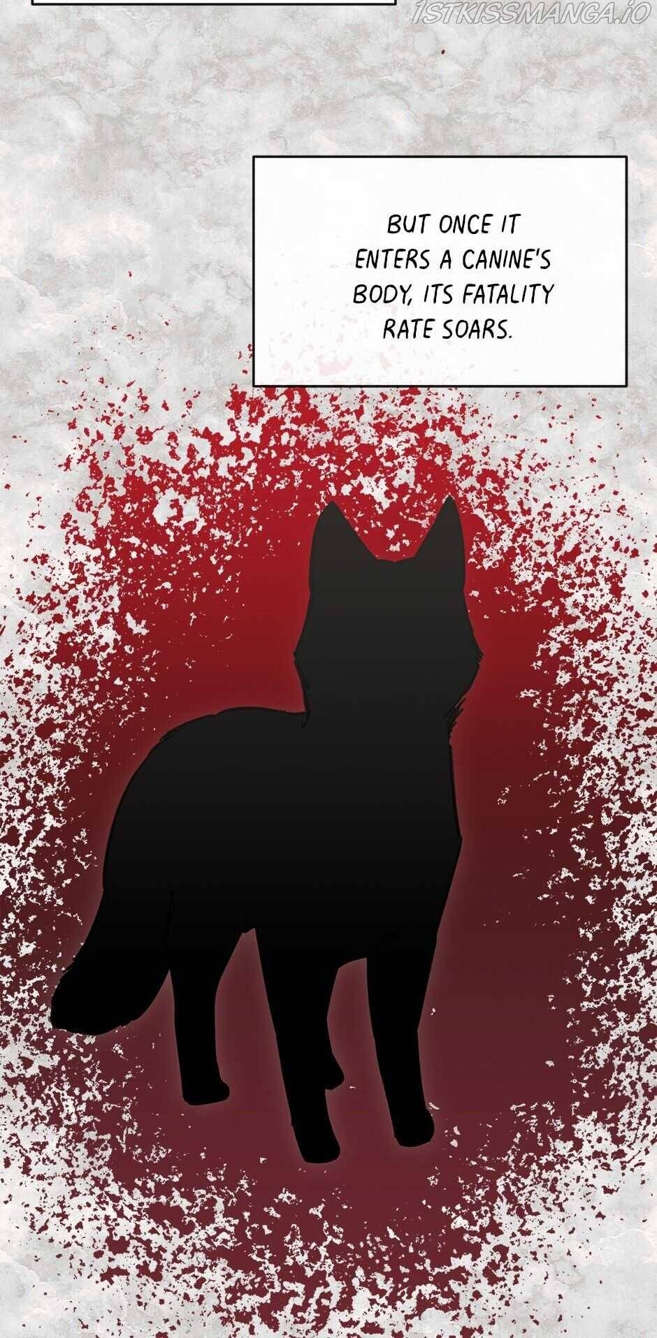 An animal hospital in the border area Chapter 25 page 19