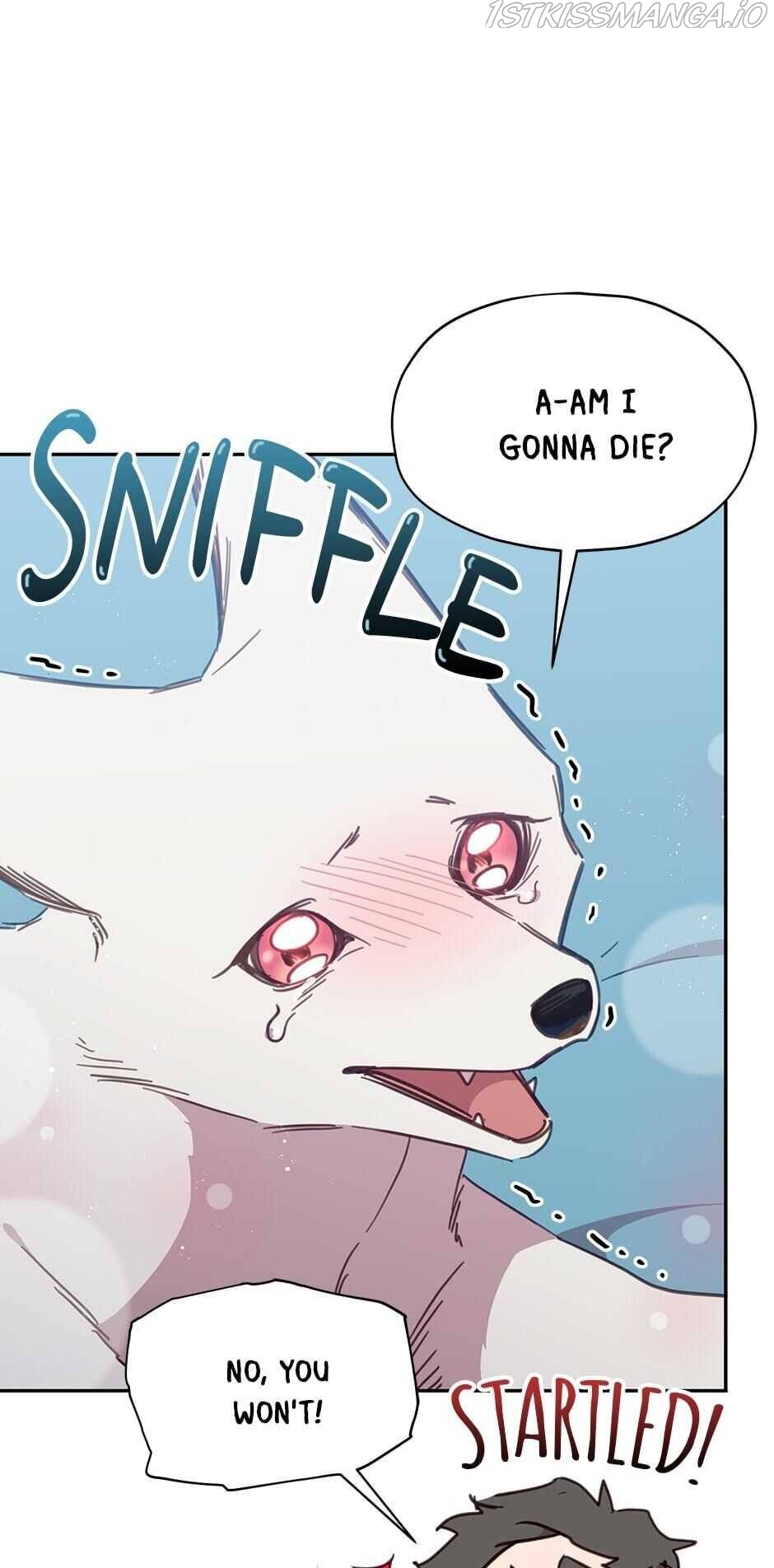 An animal hospital in the border area Chapter 25 page 32