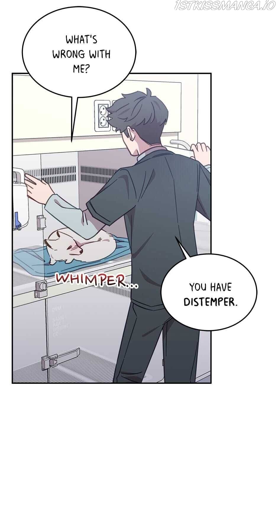 An animal hospital in the border area Chapter 25 page 28