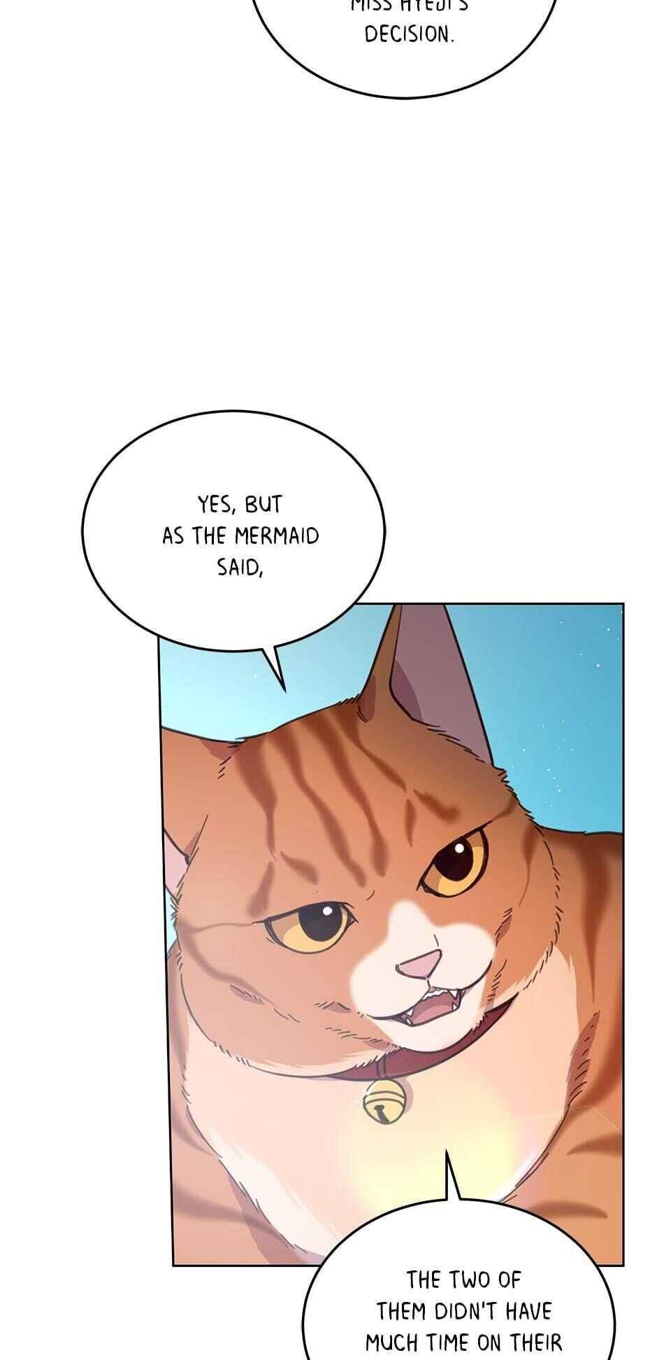 An animal hospital in the border area Chapter 46 page 14