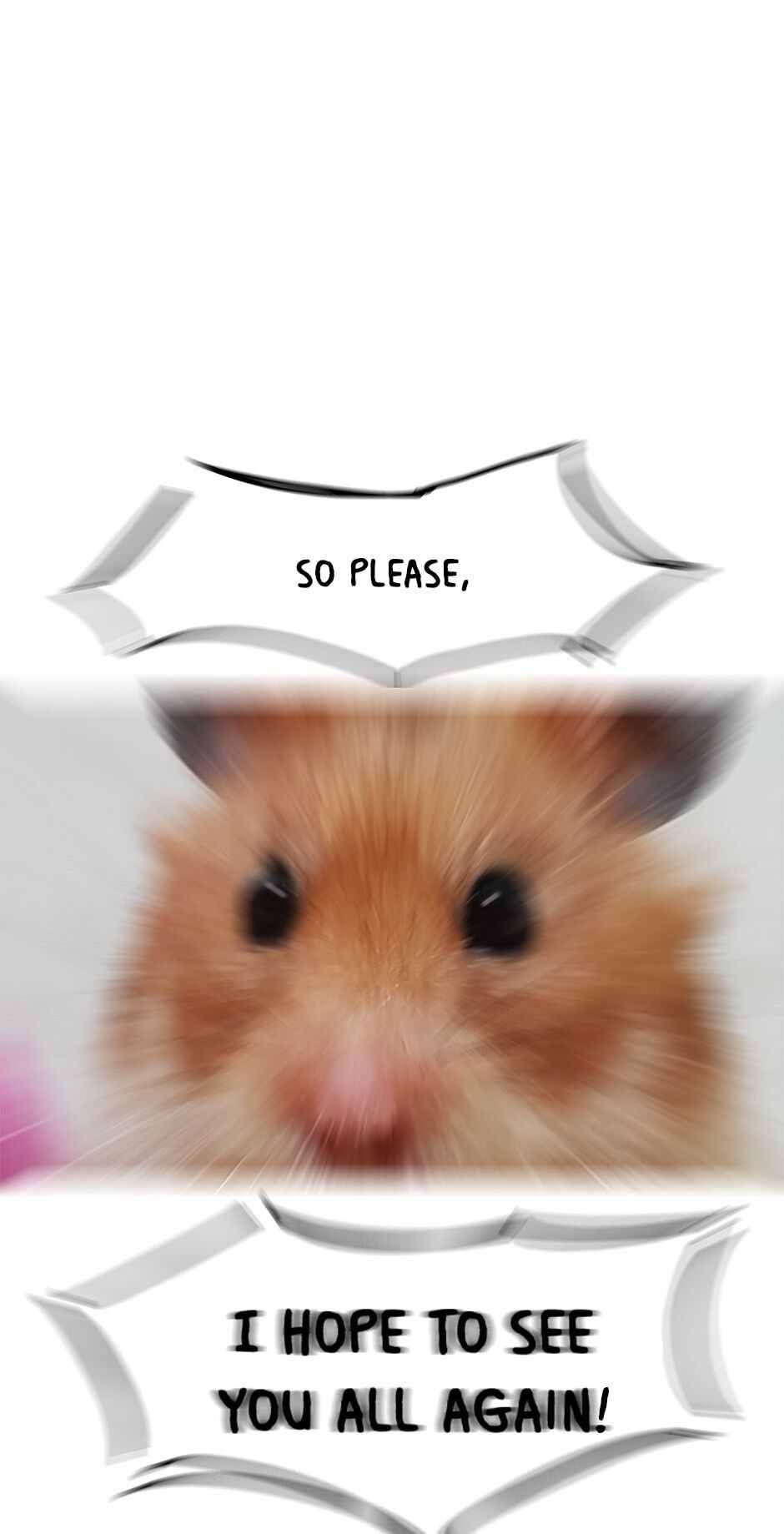 An animal hospital in the border area Chapter 46 page 90