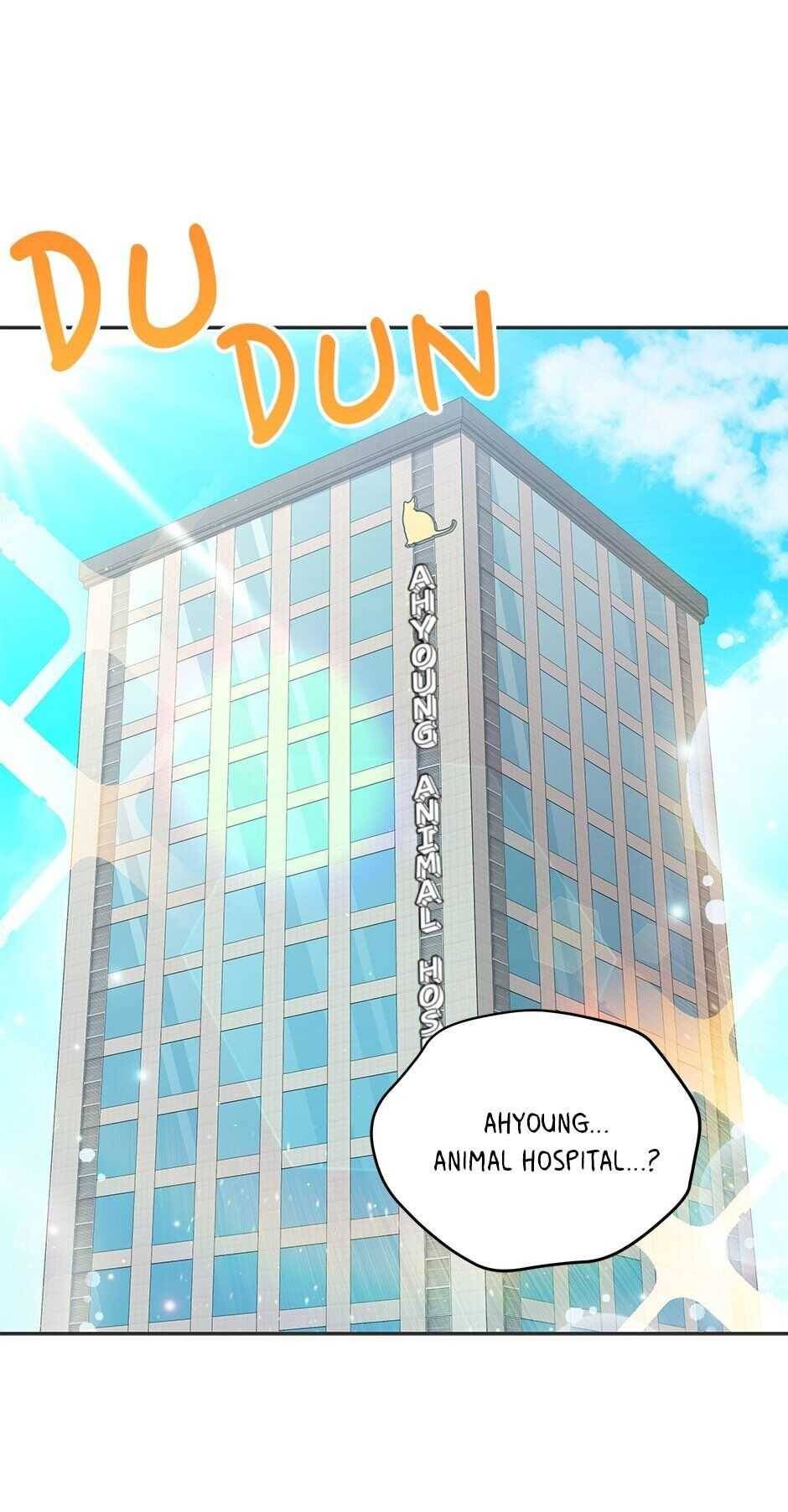 An animal hospital in the border area Chapter 47 page 6