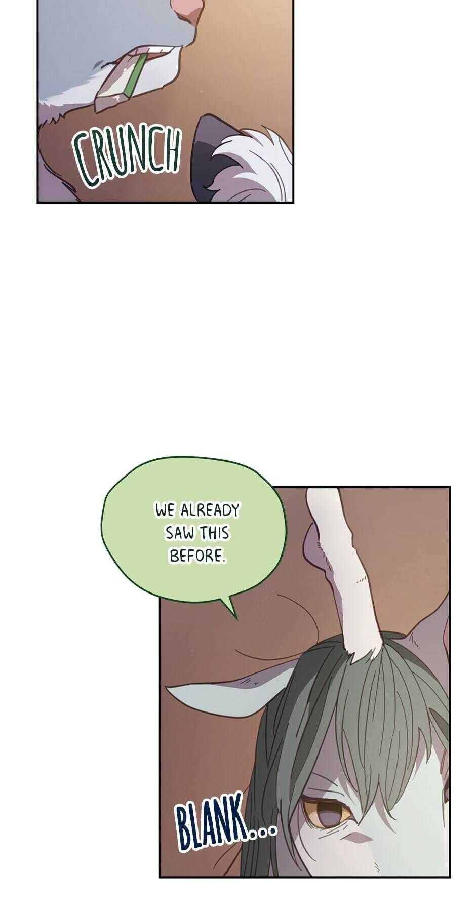 An animal hospital in the border area Chapter 47 page 39