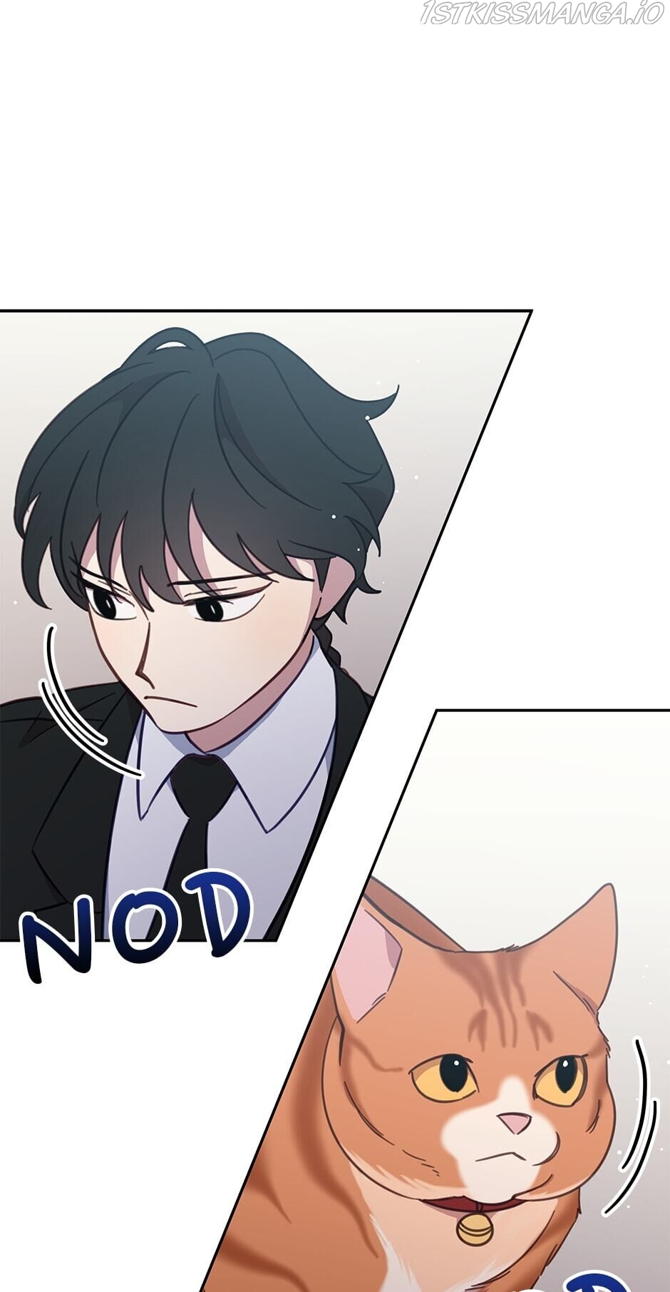An animal hospital in the border area Chapter 34 page 19