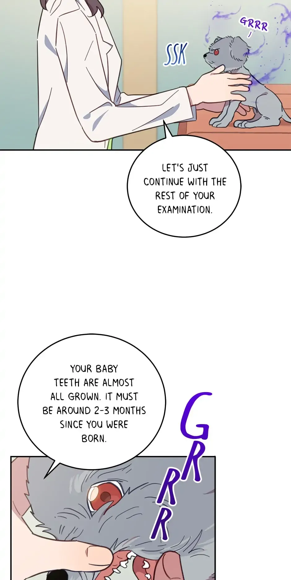 An animal hospital in the border area Chapter 65 page 6