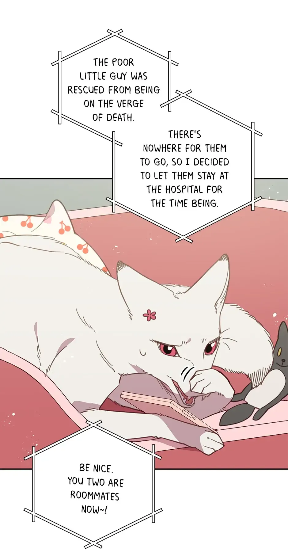 An animal hospital in the border area Chapter 65 page 24