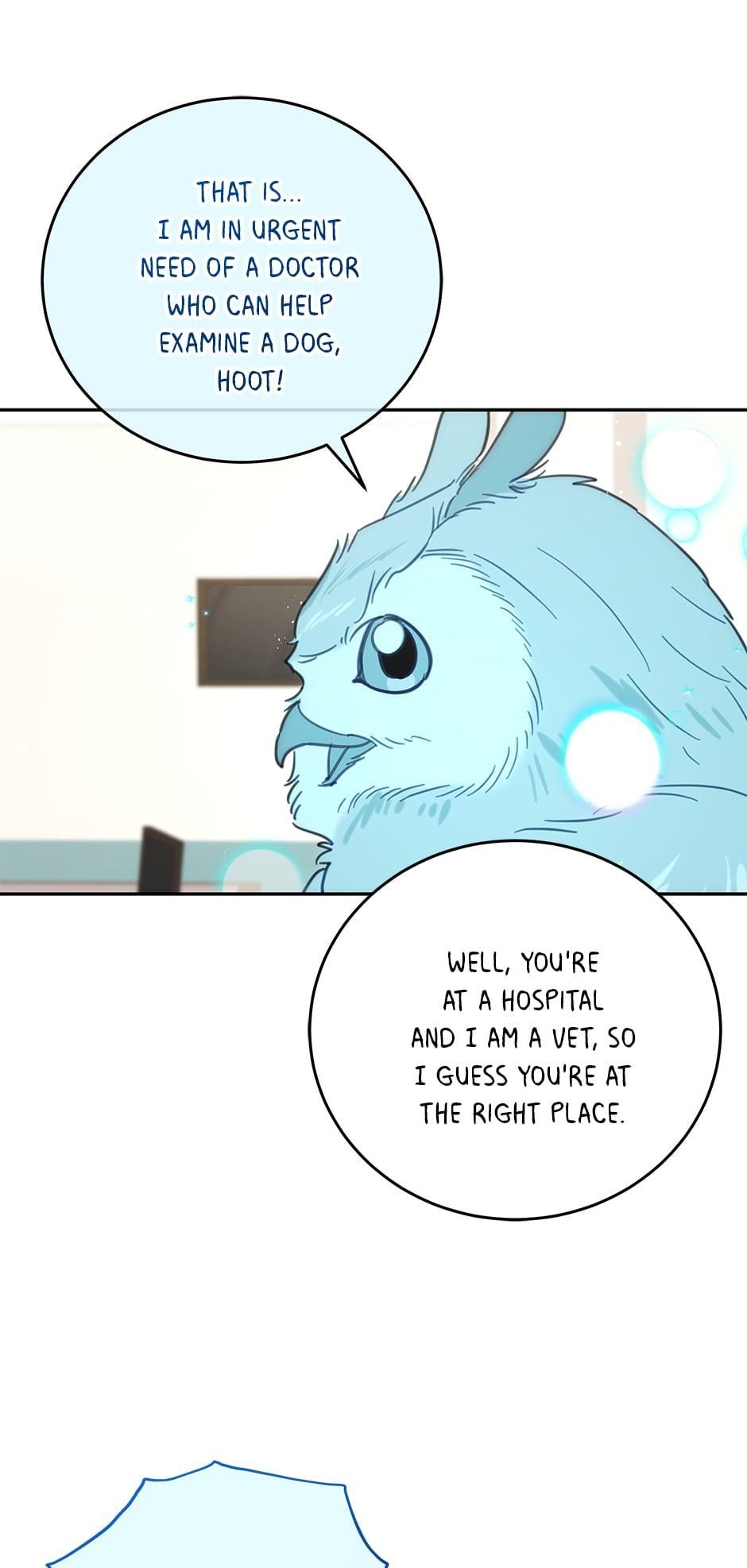 An animal hospital in the border area Chapter 64 page 11