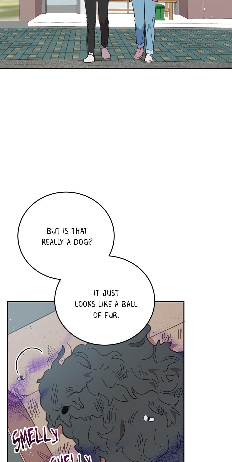 An animal hospital in the border area Chapter 64 page 42