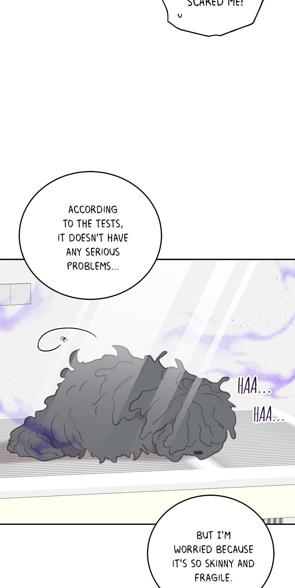 An animal hospital in the border area Chapter 64 page 48