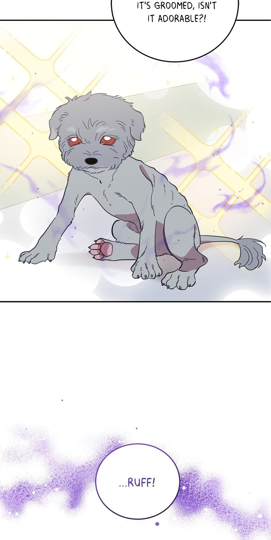 An animal hospital in the border area Chapter 64 page 60