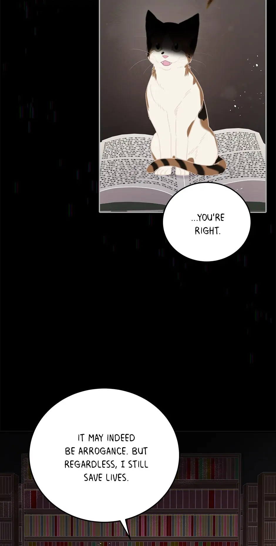 An animal hospital in the border area Chapter 72 page 27