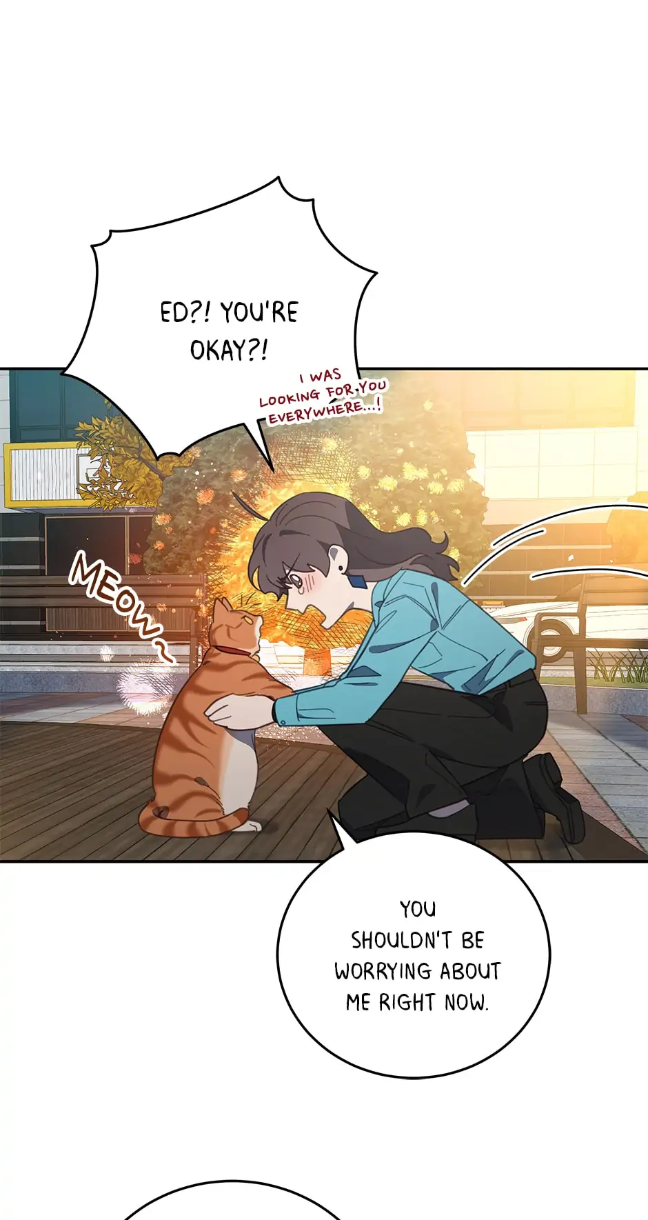 An animal hospital in the border area Chapter 73 page 12
