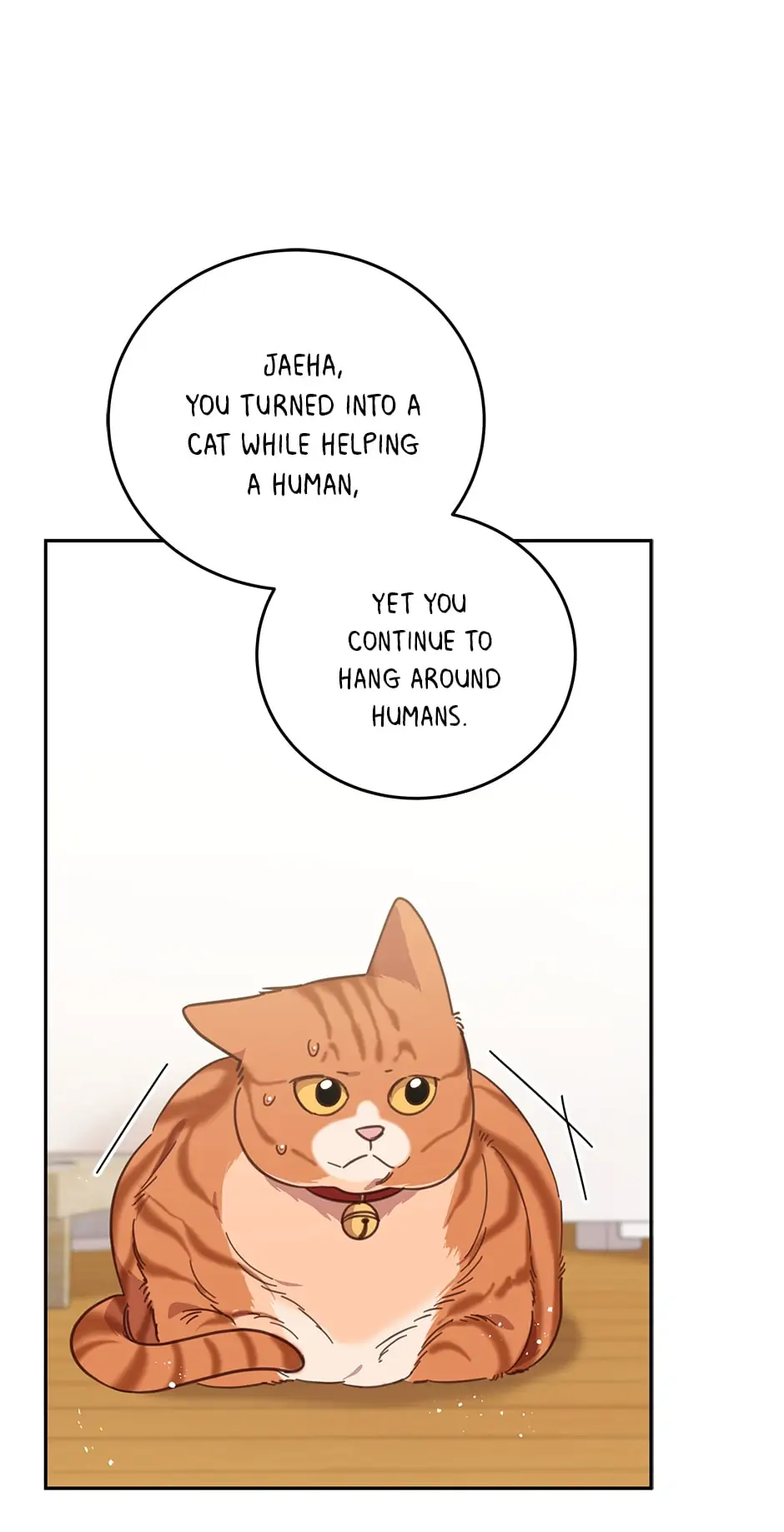 An animal hospital in the border area Chapter 74 page 8