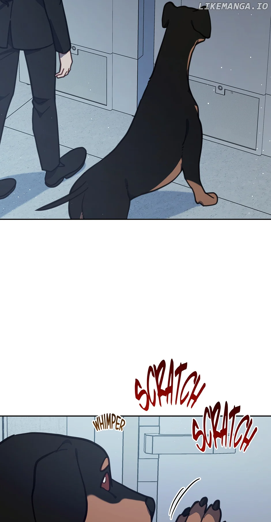 An animal hospital in the border area Chapter 101 page 45
