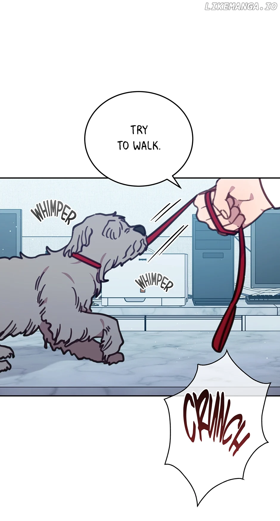 An animal hospital in the border area Chapter 101 page 62