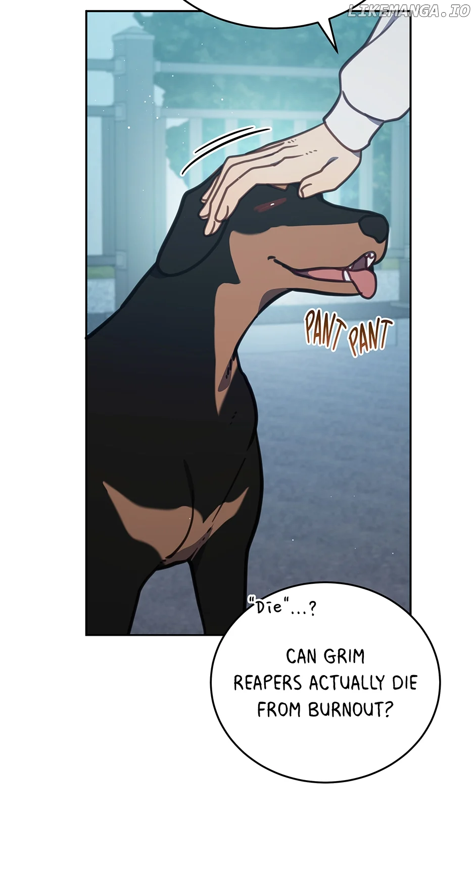 An animal hospital in the border area Chapter 102 page 36