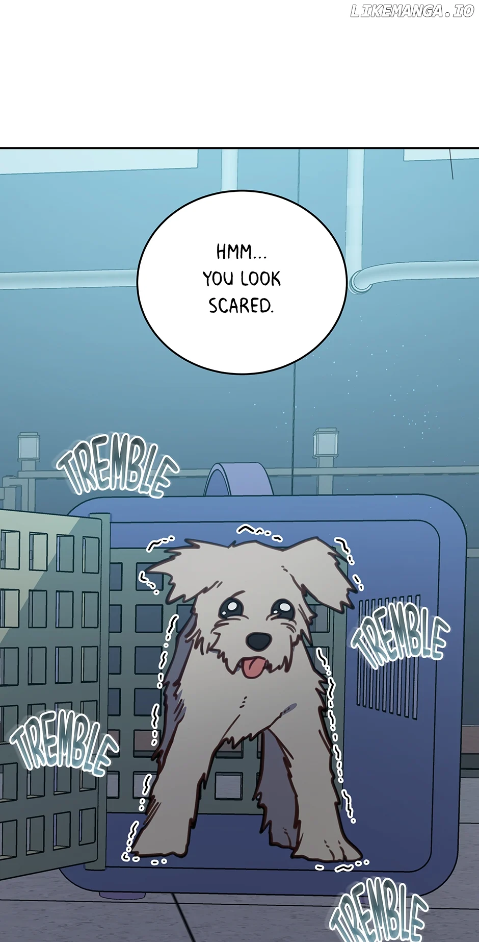 An animal hospital in the border area Chapter 105 page 48