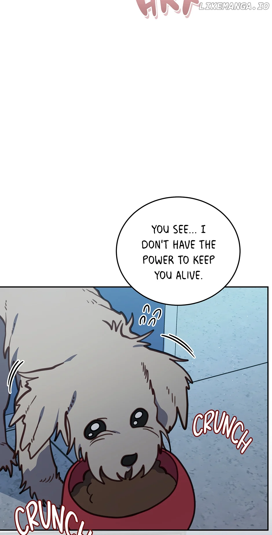 An animal hospital in the border area Chapter 105 page 52