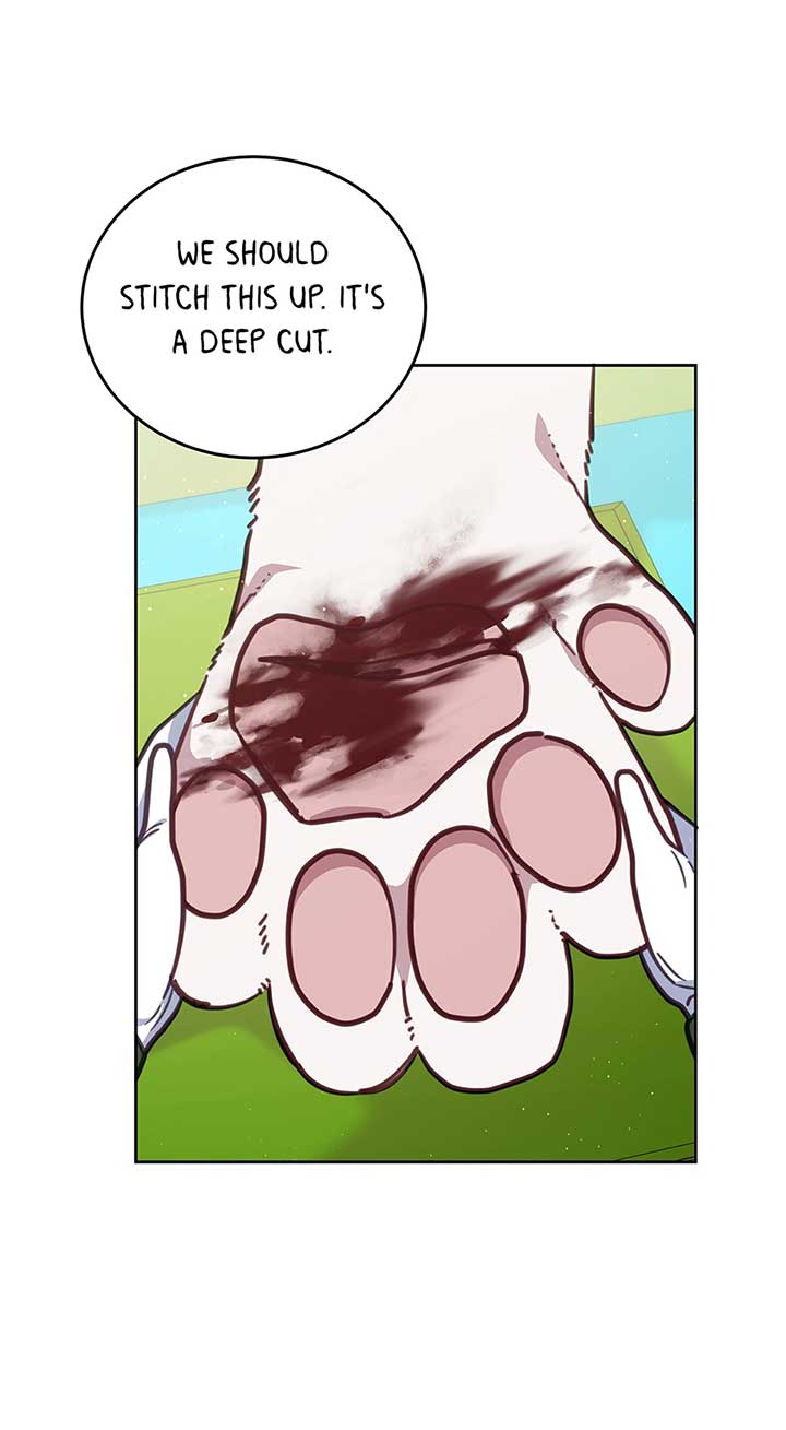 An animal hospital in the border area Chapter 109 page 44