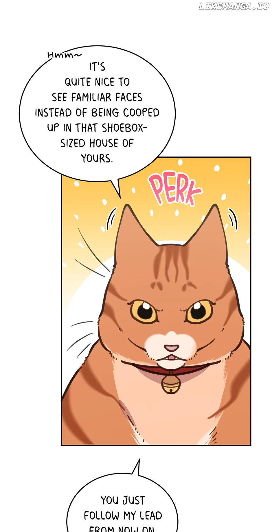 An animal hospital in the border area Chapter 107 page 11