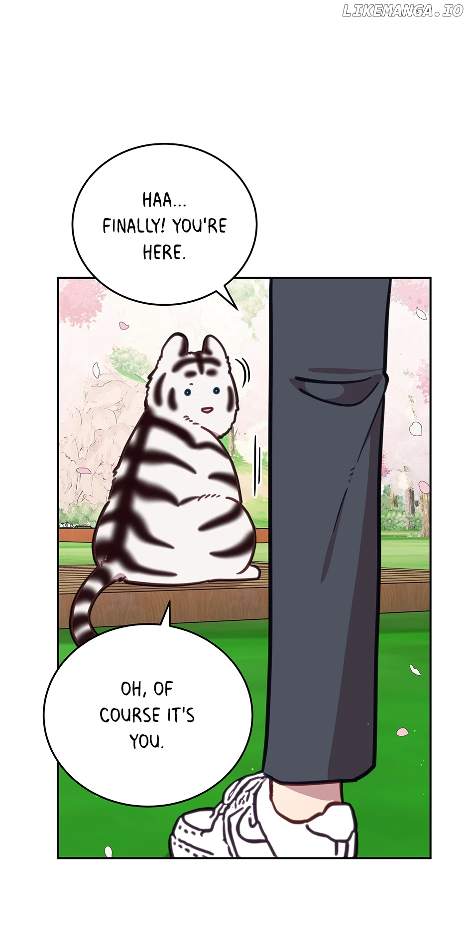 An animal hospital in the border area Chapter 107 page 72