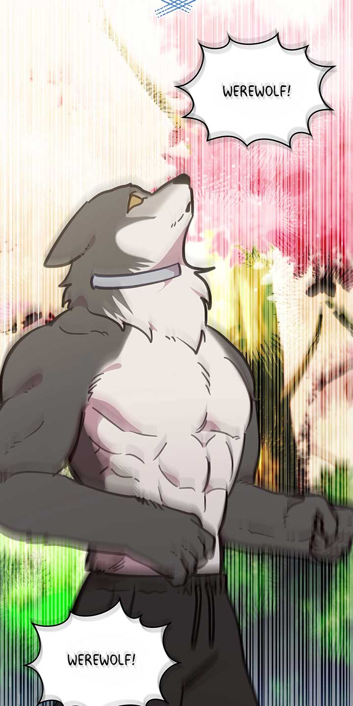 An animal hospital in the border area Chapter 110 page 61