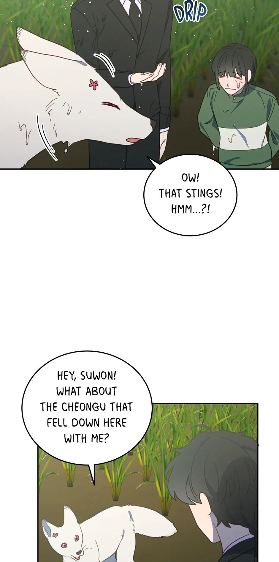 An animal hospital in the border area Chapter 115 page 52