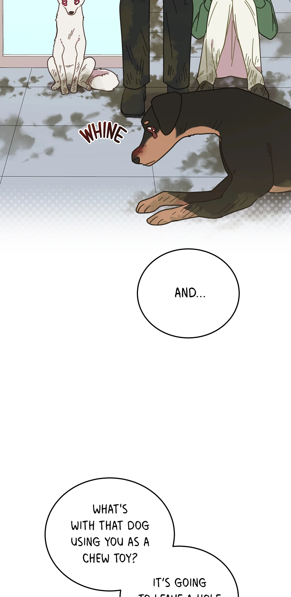 An animal hospital in the border area Chapter 115 page 65