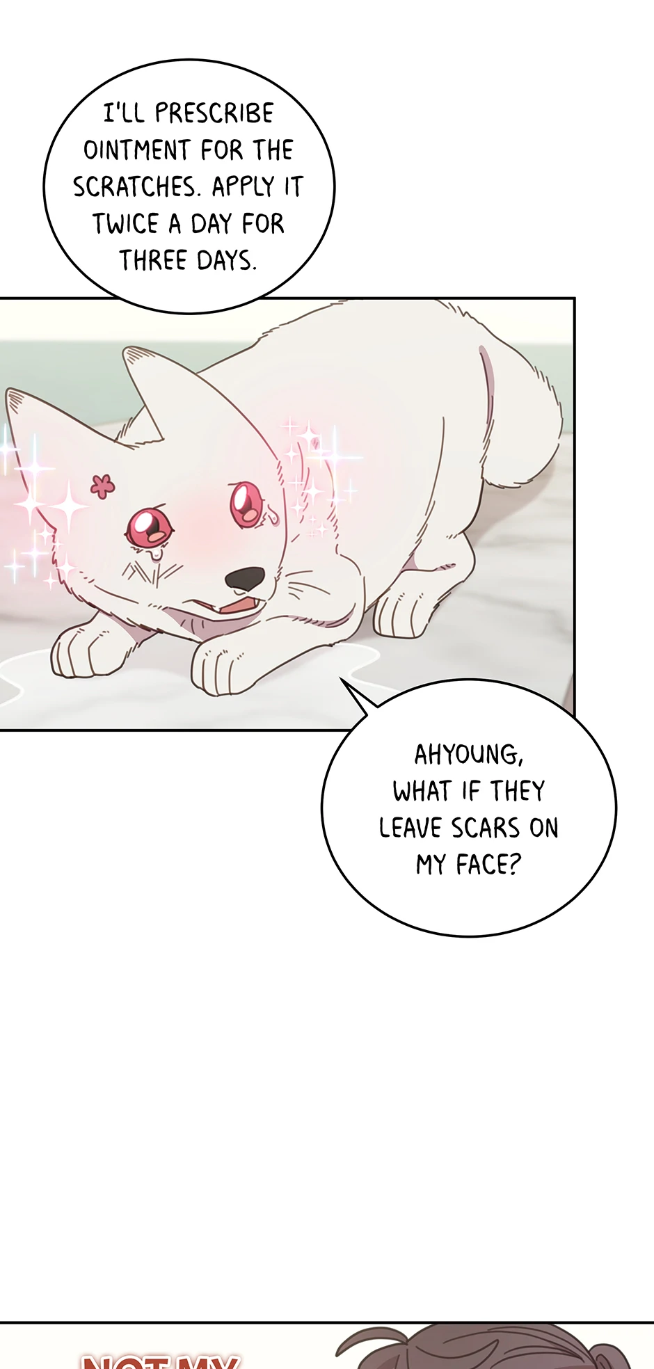 An animal hospital in the border area Chapter 116 page 27